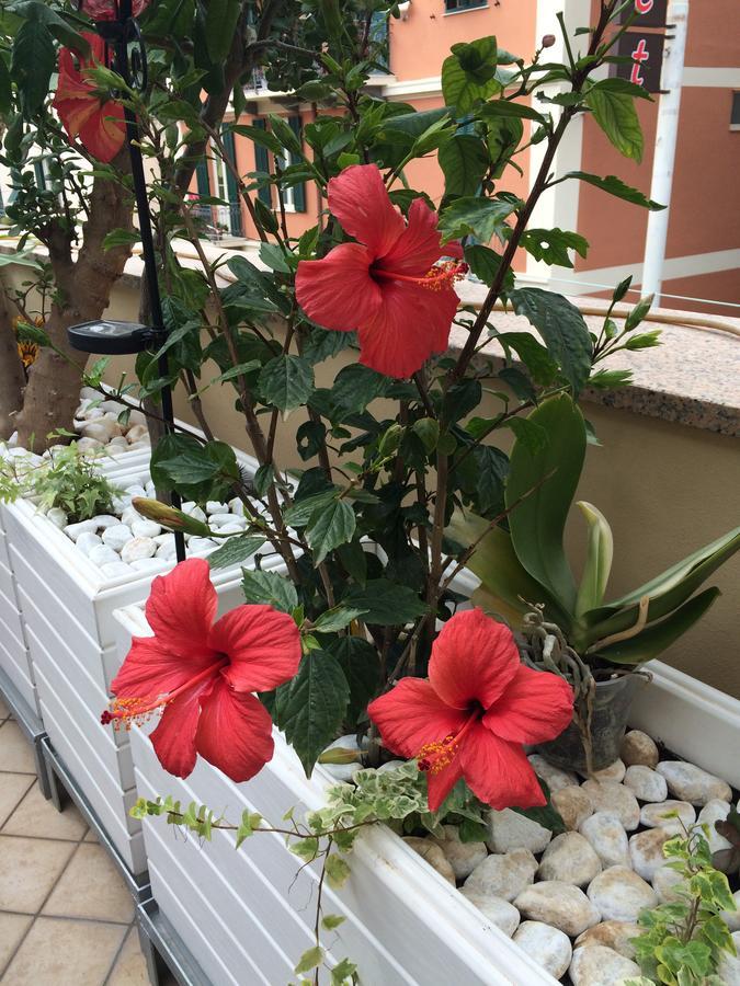 B&B Borgo Marina Bordighera Zewnętrze zdjęcie